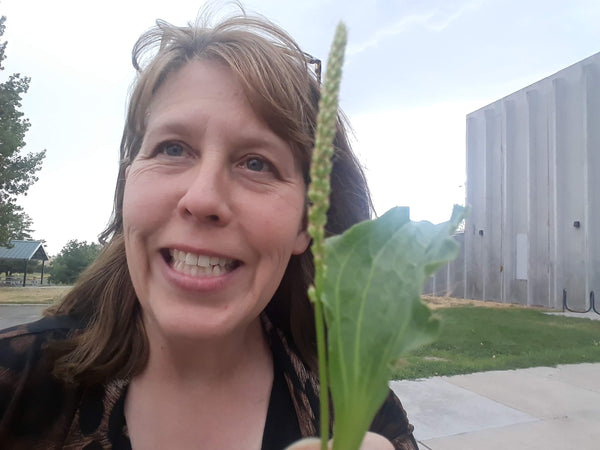 Learning About Plantain