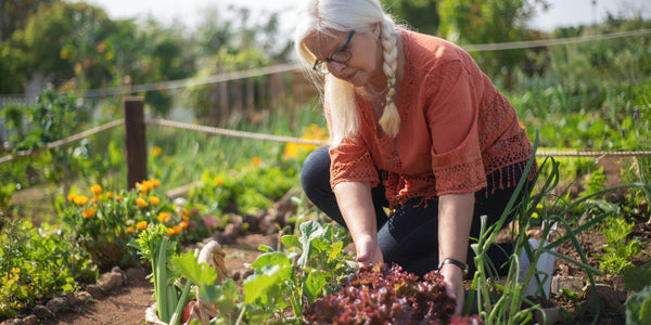 How to Choose the Right Probiotic for You