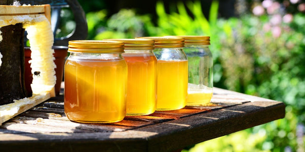 Local Raw Honey (Harvested Right Here in Tooele)