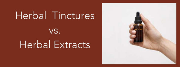Herbal Tincture vs. Herbal Extract