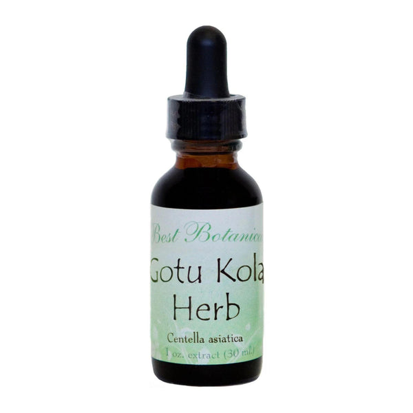 Gotu Kola Herb Extract - 1 oz