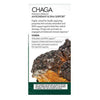 Chaga Antioxidant & DNA Support - 60 Capsules