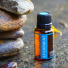 Spearmint Essential Oil - 15 ml