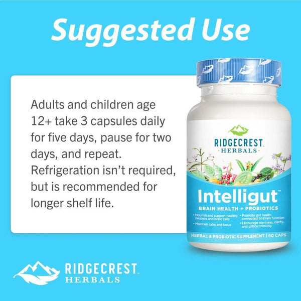 Intelligut - 60 Capsules