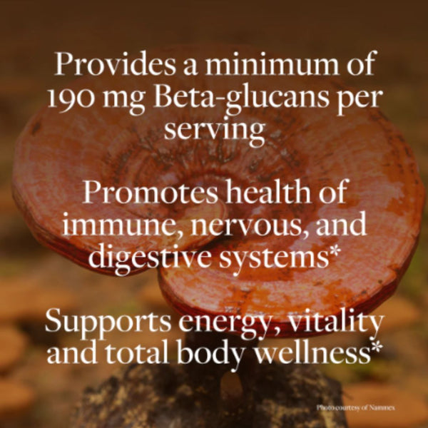 Kokora 5 Mushroom Wellness - 800 mg - 60 Caps