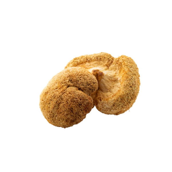 Just Ingredients Lion's Mane - 3.5 oz