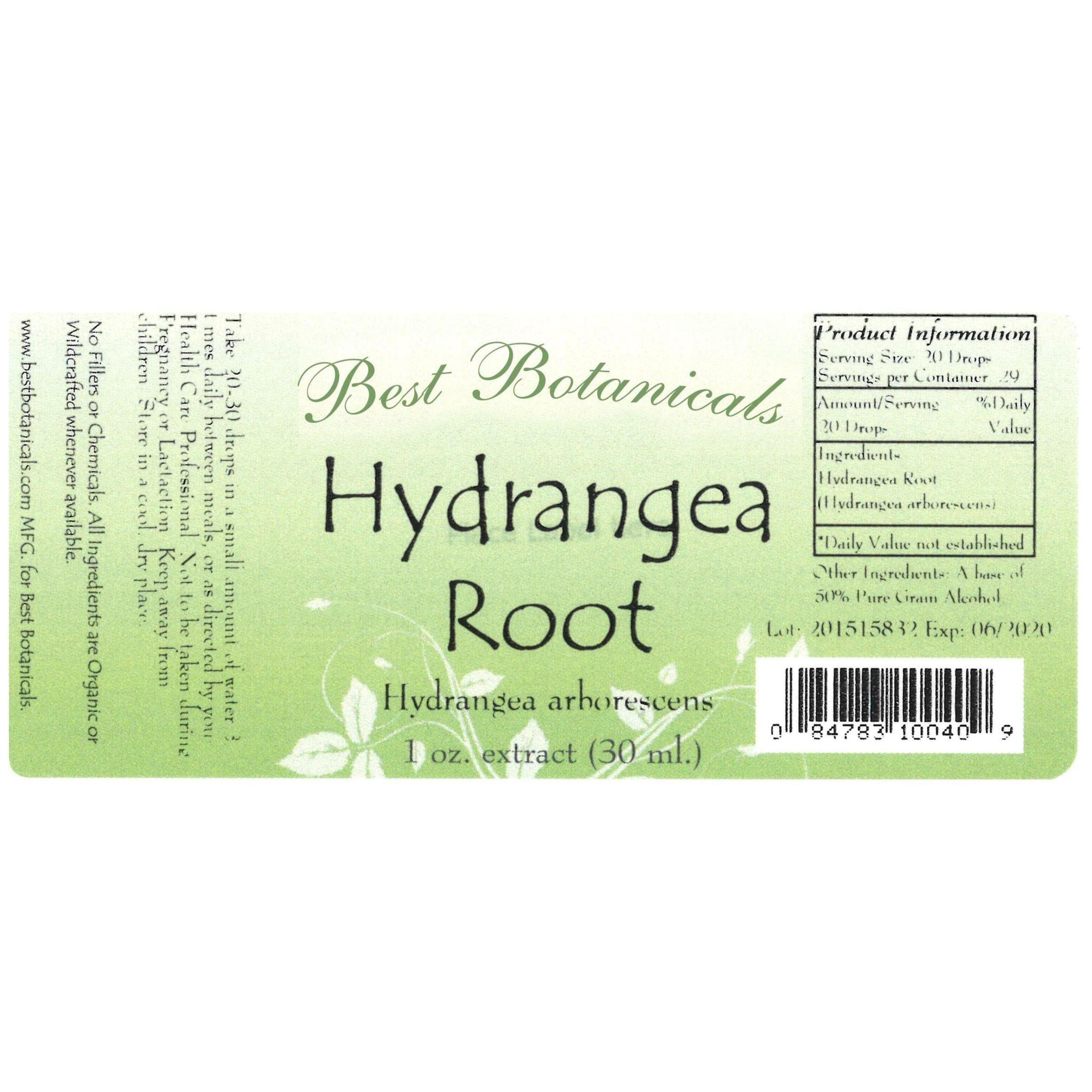 Hydrangea Root Extract - 1 oz