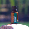 Pine Essential Oil - 15 ml