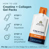 Ancient Nutrition CREATINE COLLAGEN GEL ORANGE 15 Count