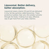 Ancient Nutrition LIPOSOMAL VITAMIN D3 + K2 PINEAPPLE - 12CT Gel