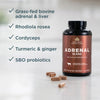 Ancient Nutrition ANCIENT GLANDULARS  CAPSULE  ADRENAL 150 Capsules