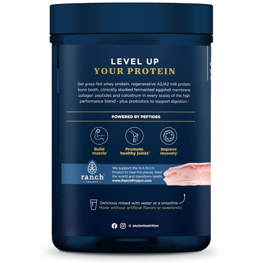 Ancient Nutrition Multi Protein Powder – Animal-Based Strawberry 18oz