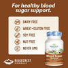 RidgeCrest Herbals Blood Sugar Balance™ – Natural Support for Healthy Blood Sugar Levels - 120 Caps
