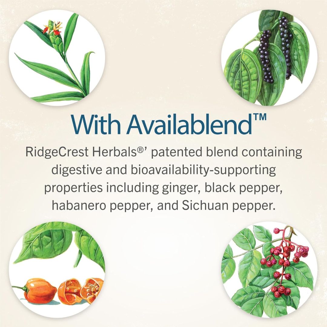 RidgeCrest Herbals Blood Sugar Balance™ – Natural Support for Healthy Blood Sugar Levels - 120 Caps