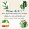 RidgeCrest Herbals Blood Sugar Balance™ – Natural Support for Healthy Blood Sugar Levels - 120 Caps