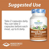 RidgeCrest Herbals Blood Sugar Balance™ – Natural Support for Healthy Blood Sugar Levels - 120 Caps