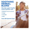 Body Gold Liqua Soothe Mouth Spray Spearmint - 1.28 fl oz