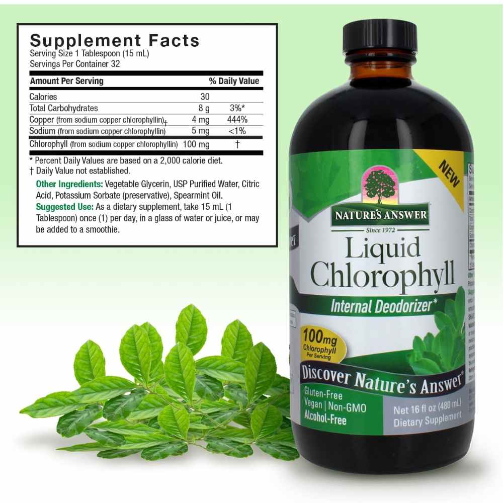 Nature's Answer Chlorophyll Liquid 16 Ounce
