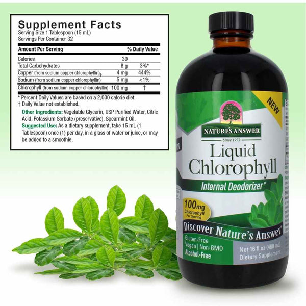 Nature's Answer Chlorophyll Liquid 16 Ounce