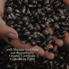 Kokora Cordyceps Energy - 800 mg - 60 Caps