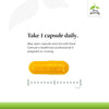 Terry Naturally CuraMed Superior Absorption Curcumin 500 mg 60 Capsules