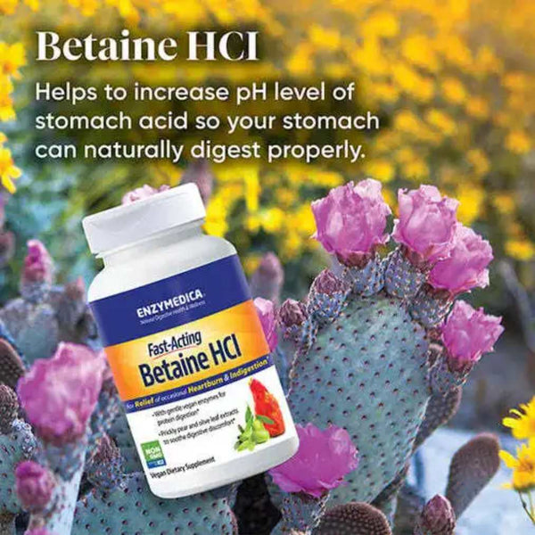 Enzymedica Betaine HCI - 60 Capsules