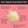 Just Ingredients Fruit Punch Electrolytes - 10.2 oz