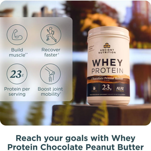 Ancient Nutrition Whey Protein, Chocolate Peanut Butte 21.5 oz
