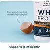 Ancient Nutrition Whey Protein, Chocolate Peanut Butte 21.5 oz