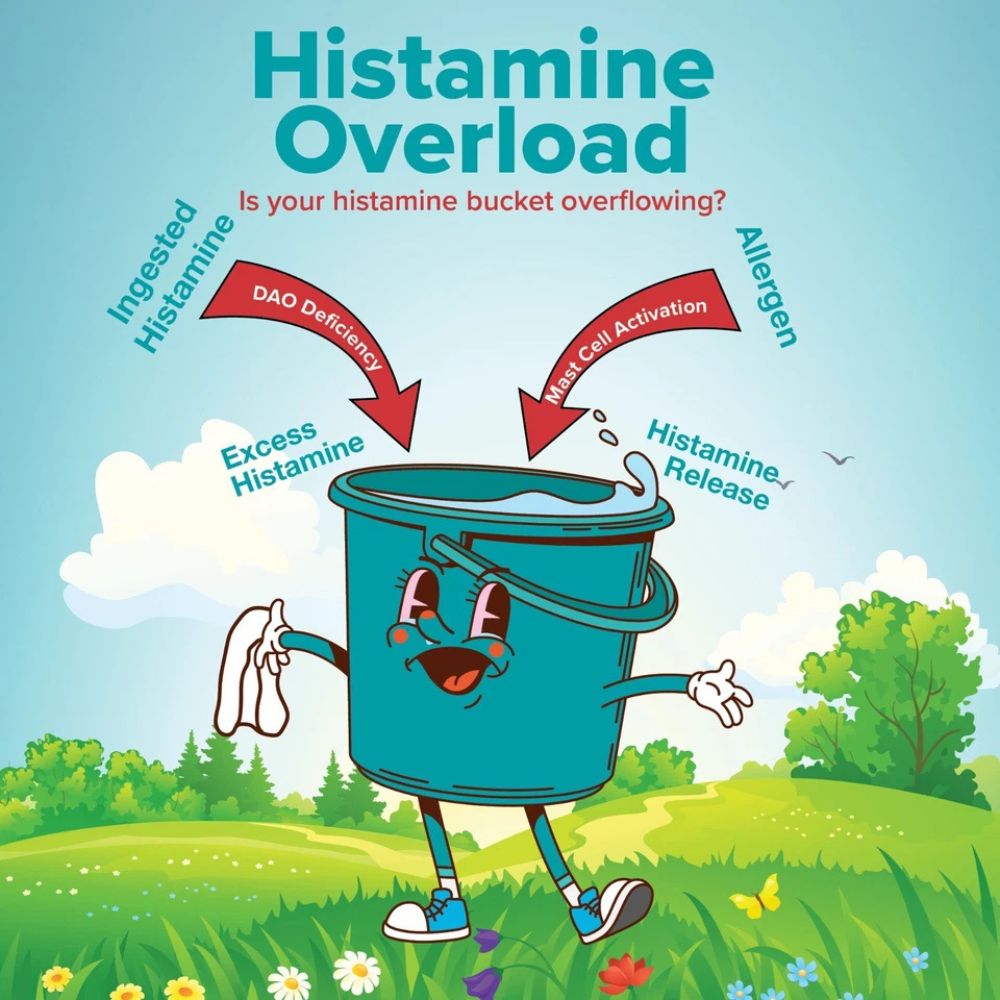 OmneDiem® Histamine Complete 15000 HDU - 30 Capsules
