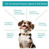 Herbal Petz Canine-heLp – Herbal Digestive Support for Dogs (1 fl oz)