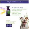 Herbal Petz Canine-heLp – Herbal Digestive Support for Dogs (1 fl oz)