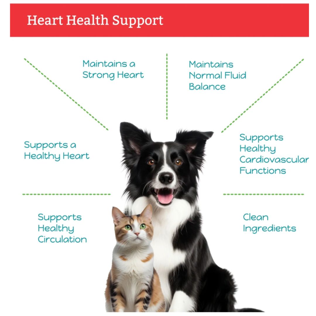 Herbal Petz Hawthorn + Dandelion – Heart & Circulation Support for Dogs and Cats 1 fl oz