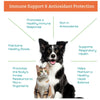 Herbal Petz Immune-ity – Immune &amp; Digestive Support for Dogs and Cats (1 fl oz)