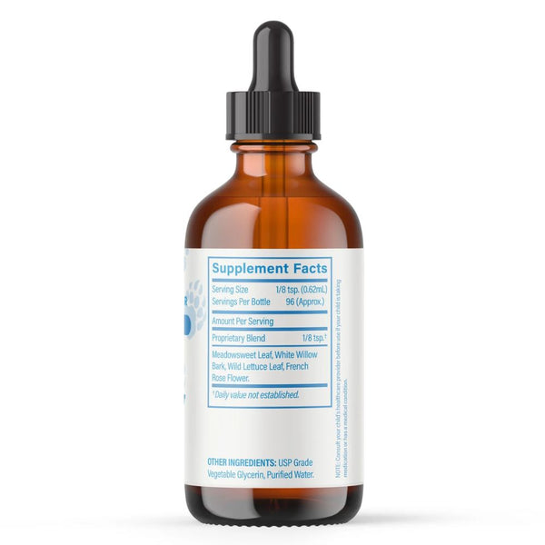 Cedar Bear Kids Pain Away Willow 2oz Liquid