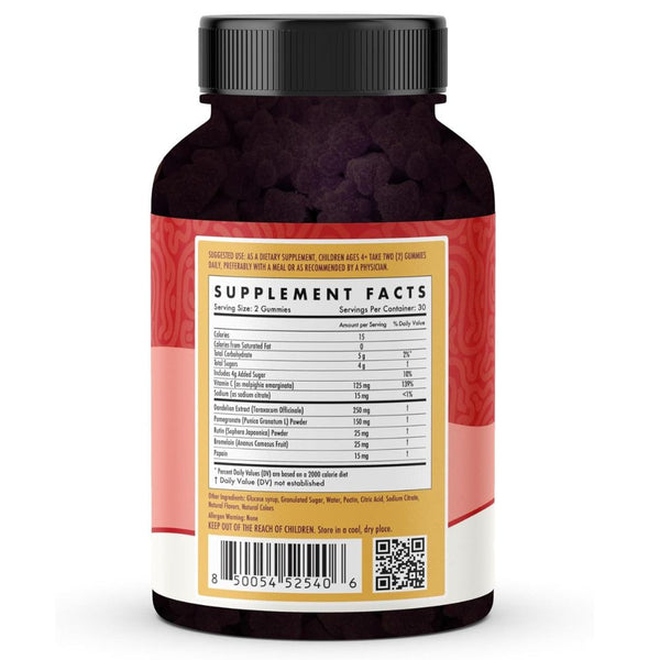 The Wellness Company Kids Spike Support Gummies – Daily Immune & Detox Support for Children - 60 Count