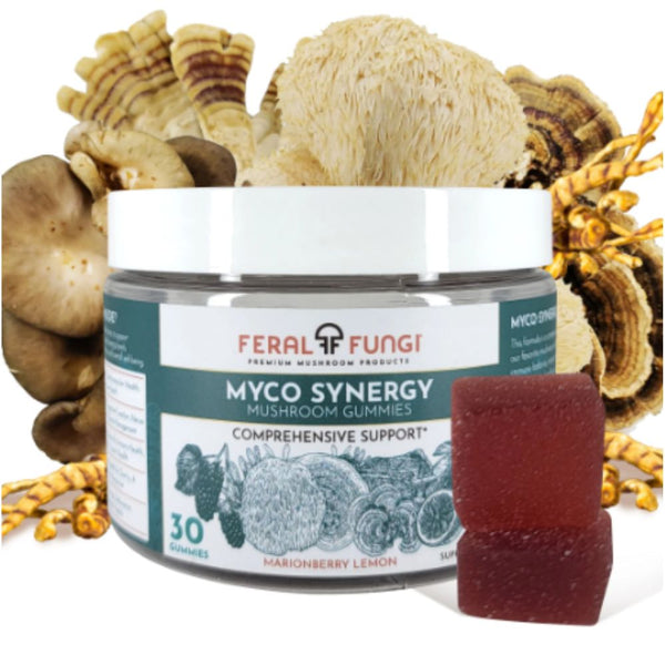 Myco Synergy Mushroom Blend Gummies 30 ct