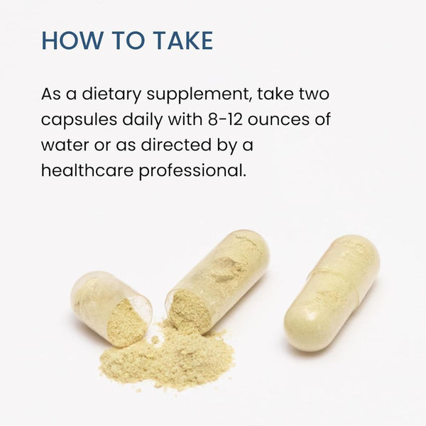 The Wellness Company Natural Immunity – Full-Spectrum Antioxidant & Immune Support - 60 Capsule