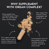Just Ingredients Organ Complex - 150 Capsules