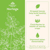 Organic India Moringa 90 VegCaps