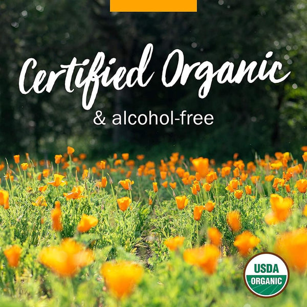Herb Pharm Certified Organic Passionflower Extract – Calming Support for Mild & Occasional Anxiety (1 oz)