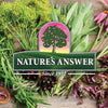 Nature's Answer PerioBrite Cool Mint Toothpaste 4 Ounce