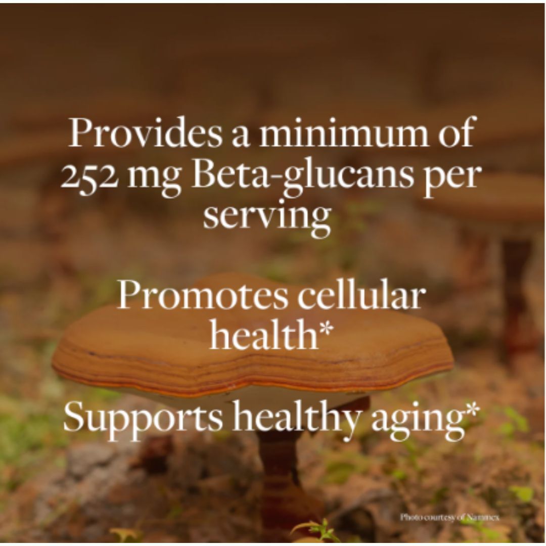 Kokora Reishi Vitality - 800 mg - 60 Caps