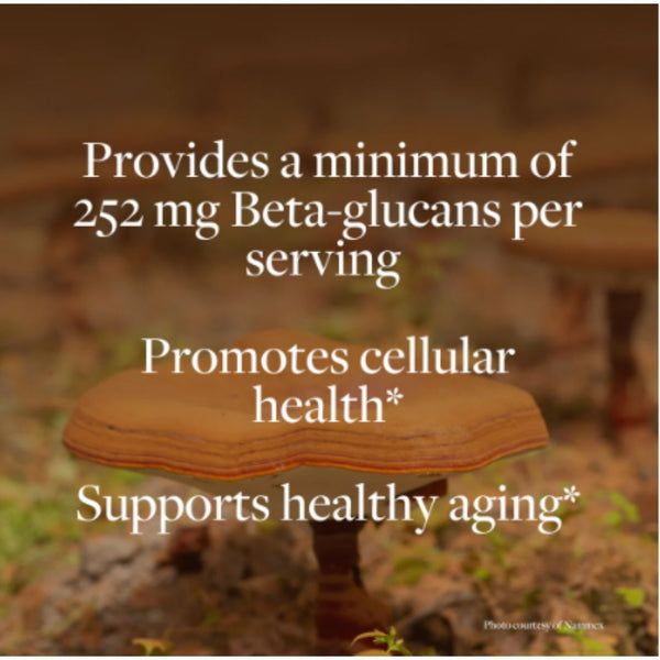 Kokora Reishi Vitality - 800 mg - 60 Caps