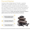 Youtheory Shilajit 60 Capsules