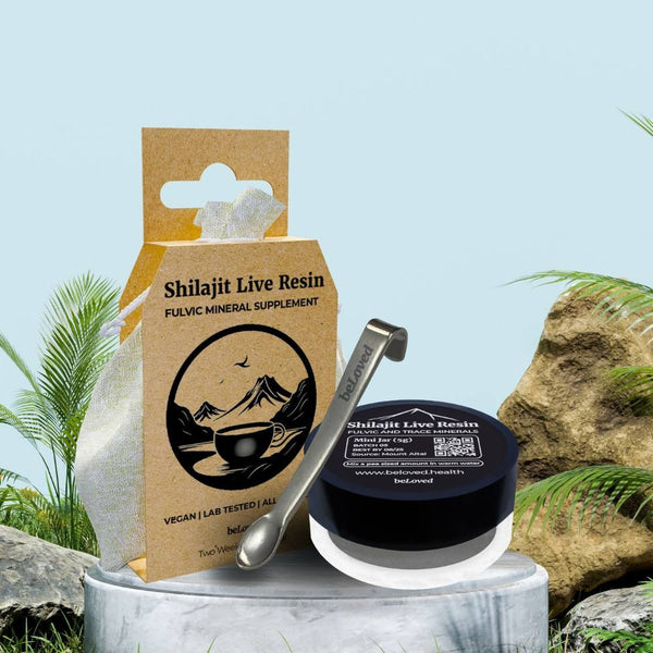 Shilajit Apprentice Kit 5g