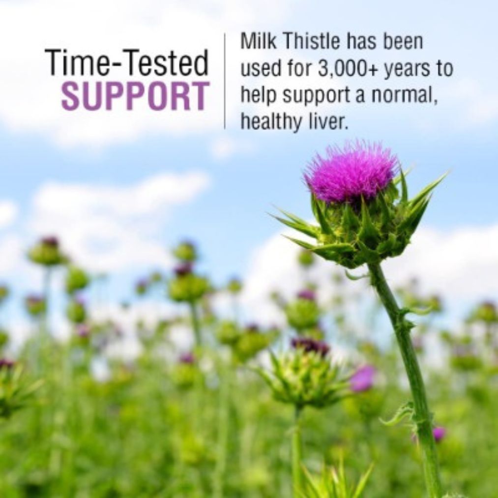 Solaray Milk Thistle - 175 mg - 60 VegCaps