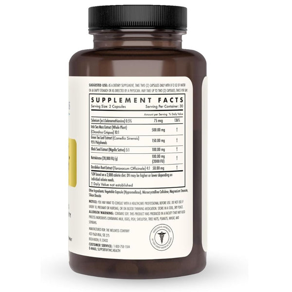 The Wellness Company Spike Support – Original Formula for Immune & Cellular Defense - 60 ct