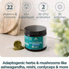 Ancient Nutrition Organic SuperGreens + Multivitamin - 3.6 oz