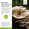 Terry Naturally PLEURAMAX 30 Capsules